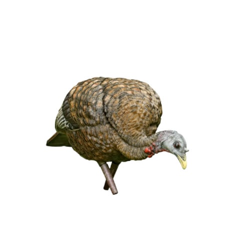 AVIAN-X LCD Feeder Turkey Decoy for sale at KYGUNCO.