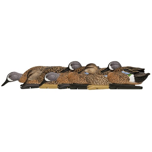 AVIAN-X Topflight Teal Species MultiColor for sale at KYGUNCO.
