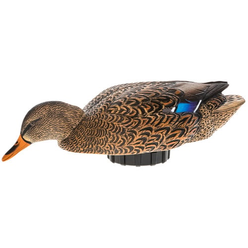 AVIAN-X Mallard Hen Species MultiColor for sale at KYGUNCO.