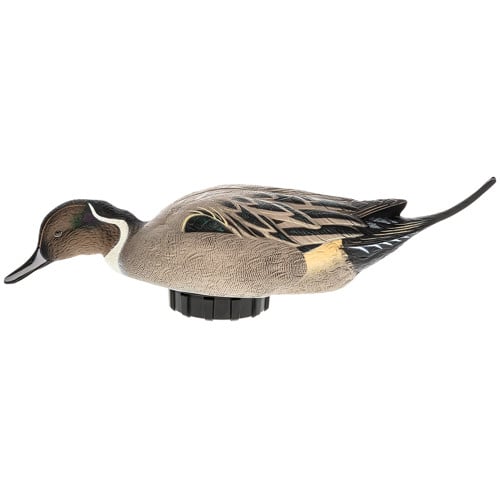 AVIAN-X Pintail Species MultiColor for sale at KYGUNCO.
