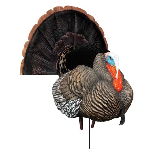 HIGDON XS Tru-Strutter Turkey Tom Species XS Motion for sale at KYGUNCO.