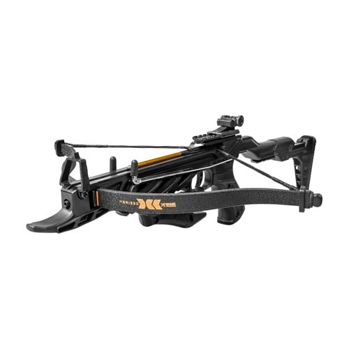 BEAR ARCHERY Desire XL for sale at KYGUNCO.