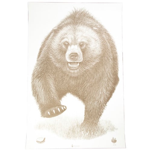 ACTION TARGET Alaska State Parks Bear Target 23"x35" 100 Per Box for sale at KYGUNCO.