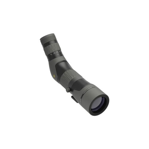 LEUPOLD SX-2 Alpine HD Gen 2  20-60x60mm Angled for sale at KYGUNCO.