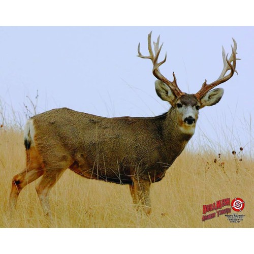 DURAMESH BIG GAME TARGET BLACK BEAR for sale at KYGUNCO.