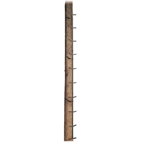BIG DOG HUNTING CLIMBING STICK 16FT TWO SIDED for sale at KYGUNCO.