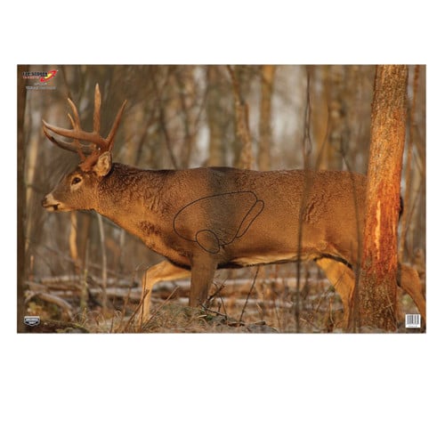 BIRCHWOOD CASEY Eze-Scorer 23"x35" Whitetail Deer - 2 targets for sale at KYGUNCO.
