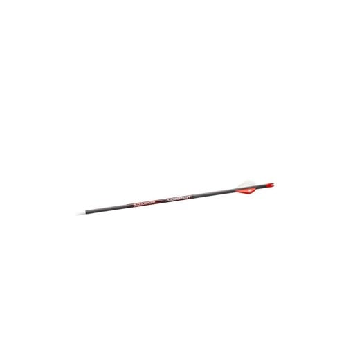 BLOODSPORT Judgement Arrow 300 Spine (6 Pack) for sale at KYGUNCO.