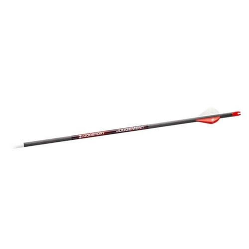 BLOODSPORT Judgement Arrow 350 Spine (6 Pack) for sale at KYGUNCO.