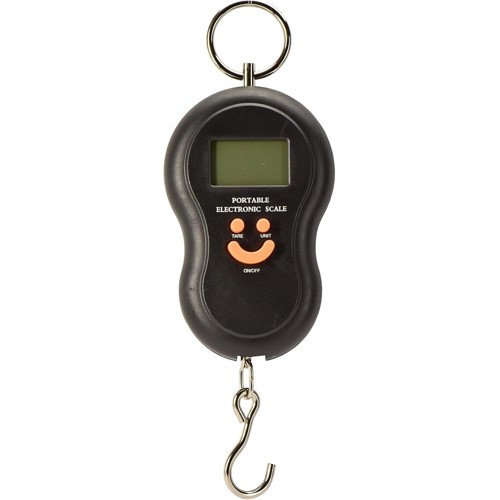CARBON EXPRESS CX Bow Scale for sale at KYGUNCO.