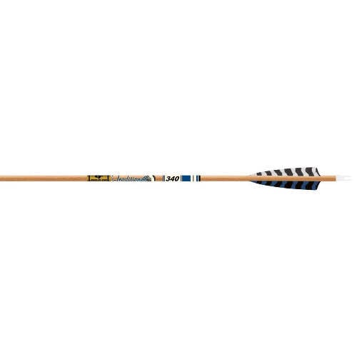 GOLD TIP Traditional XT Arrow 400- 5" Barred Feather- 1/2dz for sale at KYGUNCO.