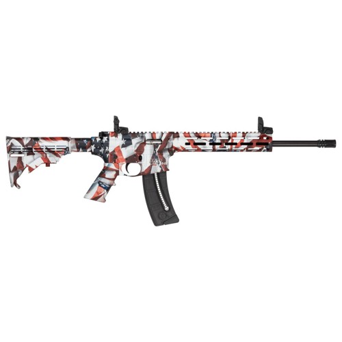 SMITH & WESSON M&P15-22 22 LR 16.5in Custom 25rd for sale at KYGUNCO.