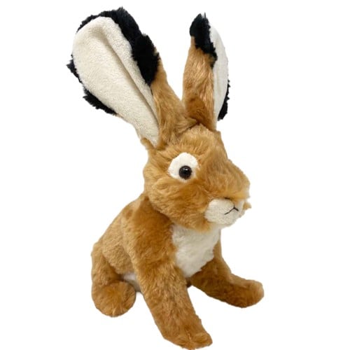 NATURE PLANET CCR S Jackrabbit 10.5" for sale at KYGUNCO.