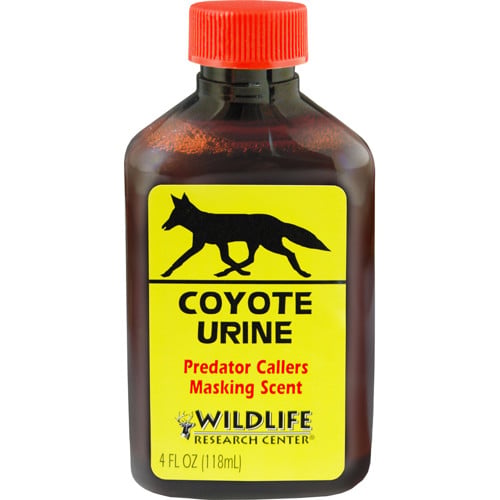 WILDLIFE RESEARCH Coyote Urine 4 oz for sale at KYGUNCO.