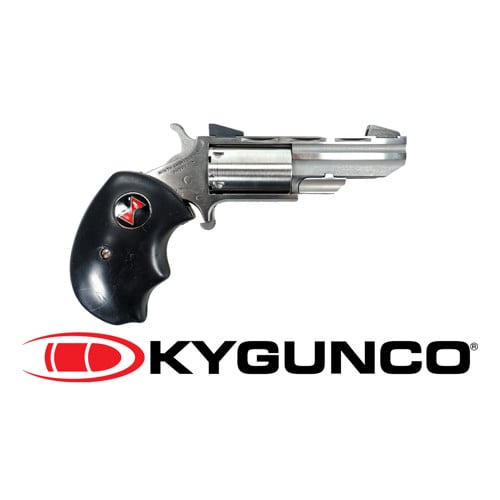 NAA Black Widow 22 WMR 2" 5rd Stainless for sale at KYGUNCO.
