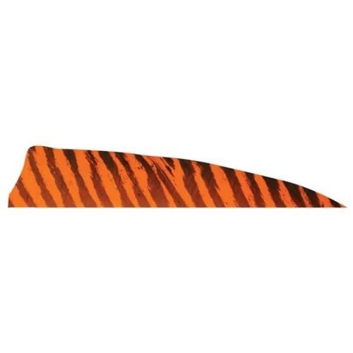 GATEWAY FEATHERS 4" Shield Cut Barred Feathers Orange-RW 50pk for sale at KYGUNCO.
