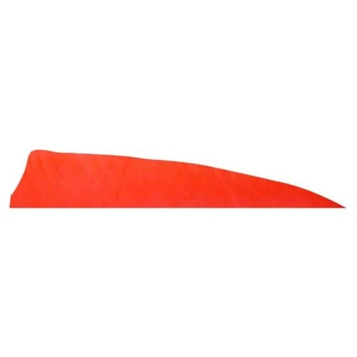 GATEWAY FEATHERS 4" Shield Cut Red-RW for sale at KYGUNCO.