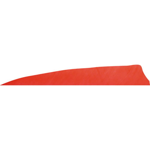 GATEWAY FEATHERS 4" Shield Cut Red-RW for sale at KYGUNCO.