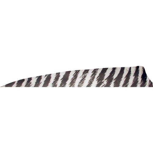 GATEWAY FEATHERS 4" Shield Cut barred Feathers White-RW for sale at KYGUNCO.