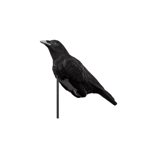 EDGE CAWLIN CROW DECOY FLOCKED for sale at KYGUNCO.
