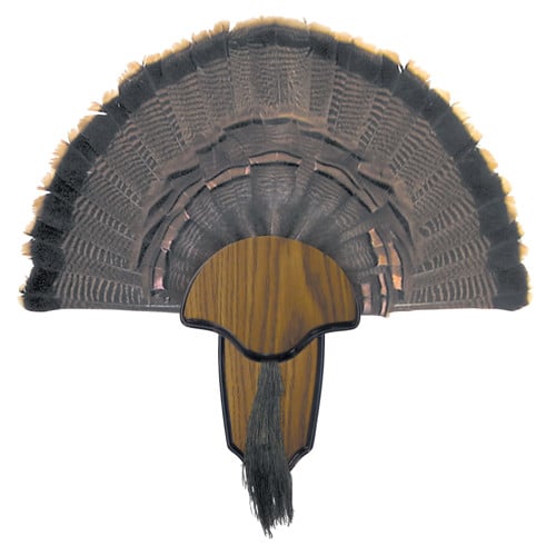 HUNTERS SPECIALTIES Turkey Tail and Beard Mounting for sale at KYGUNCO.