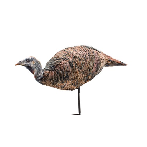 MONTANA DECOY Miss Purr-fect 3D Hen Decoy for sale at KYGUNCO.